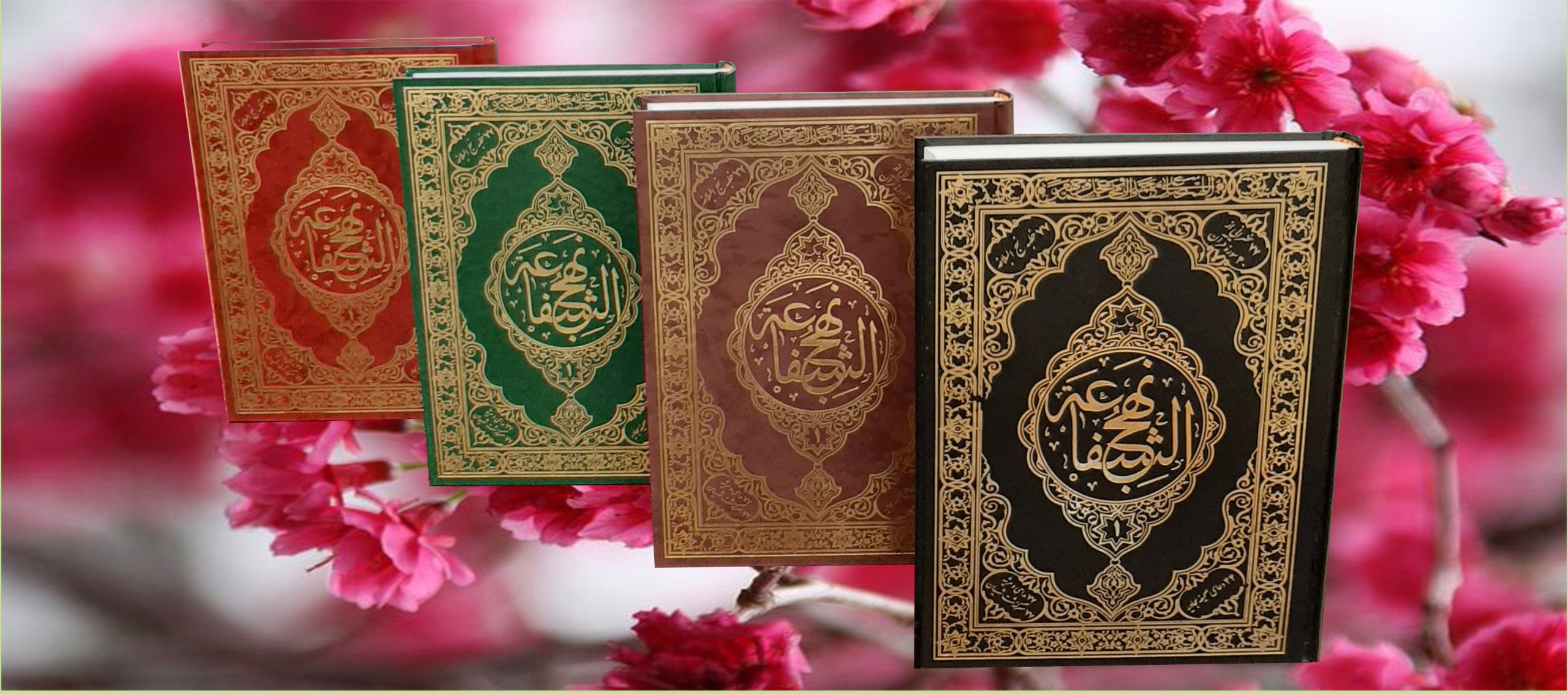 سخنرانی