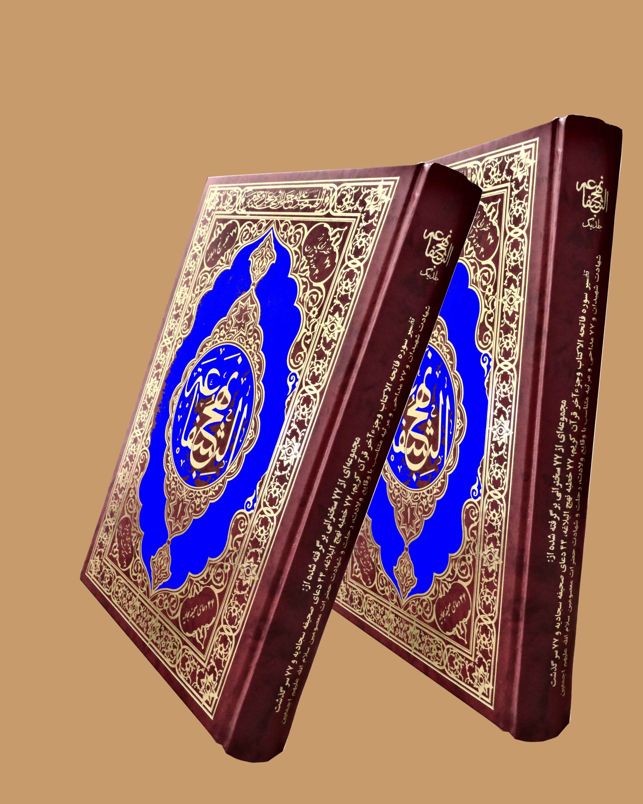 سخنرانی