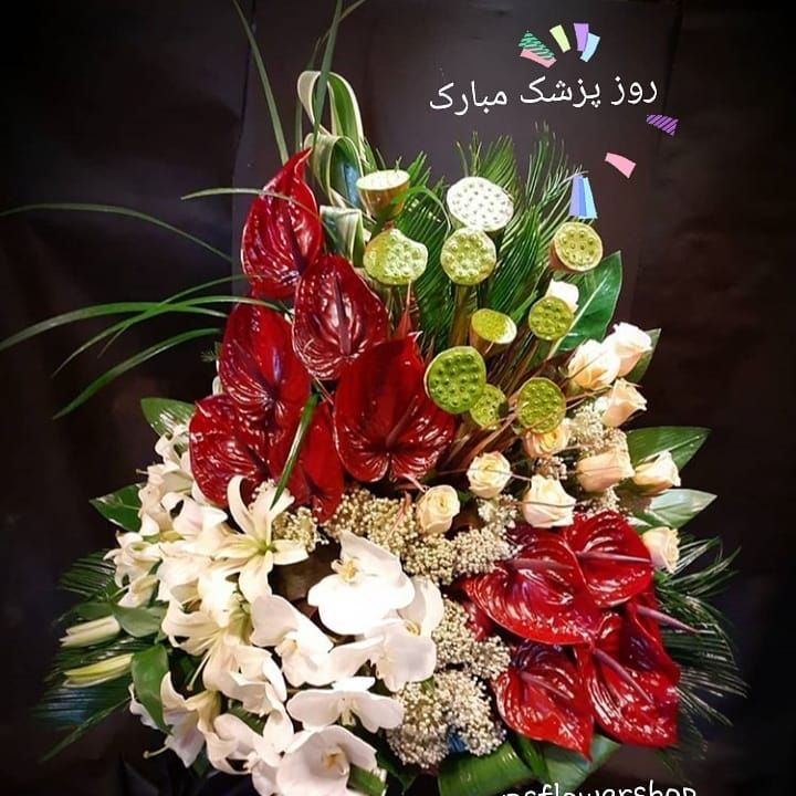 ابوعلی سینا